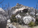 photo thumbnail #4