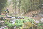 photo thumbnail #8