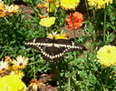 photo thumbnail #8