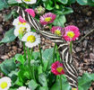 photo thumbnail #12