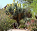 photo thumbnail #14