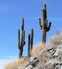 photo thumbnail #5