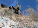 photo thumbnail #6