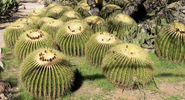 photo thumbnail #3