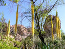 photo thumbnail #6