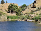photo thumbnail #9