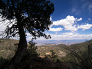photo thumbnail #3