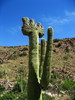 photo thumbnail #4