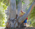 photo thumbnail #8