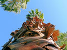 photo thumbnail #12