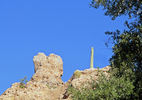 photo thumbnail #13