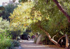 photo thumbnail #14