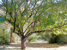 photo thumbnail #15