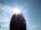 photo thumbnail #12
