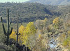photo thumbnail #14