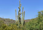 photo thumbnail #8