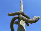photo thumbnail #11