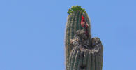 photo thumbnail #15
