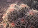 photo thumbnail #13