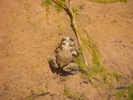 photo thumbnail #13