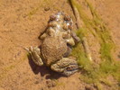 photo thumbnail #14