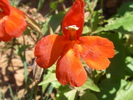 Featured Detail Photo