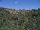 photo thumbnail #11