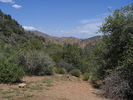 photo thumbnail #13
