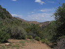 photo thumbnail #15