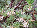 Featured Detail Photo