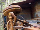photo thumbnail #12