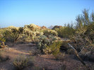 photo thumbnail #1