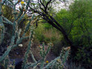 photo thumbnail #2