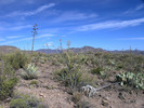 photo thumbnail #4