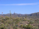 photo thumbnail #5