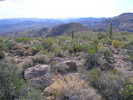 photo thumbnail #7