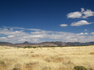 photo thumbnail #1