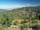 photo thumbnail #9