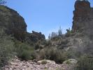 photo thumbnail #6