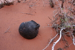 photo thumbnail #2