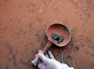 photo thumbnail #3