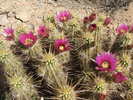 photo thumbnail #5