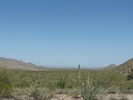 photo thumbnail #12