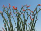 photo thumbnail #14