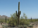 photo thumbnail #15