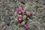 photo thumbnail #6