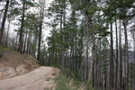 photo thumbnail #5