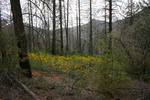 photo thumbnail #10