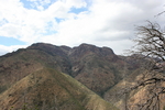 photo thumbnail #12