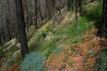 photo thumbnail #14
